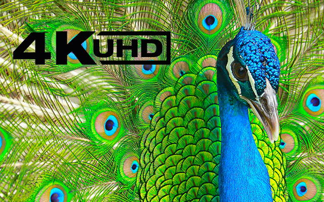 4K UHD Produkte